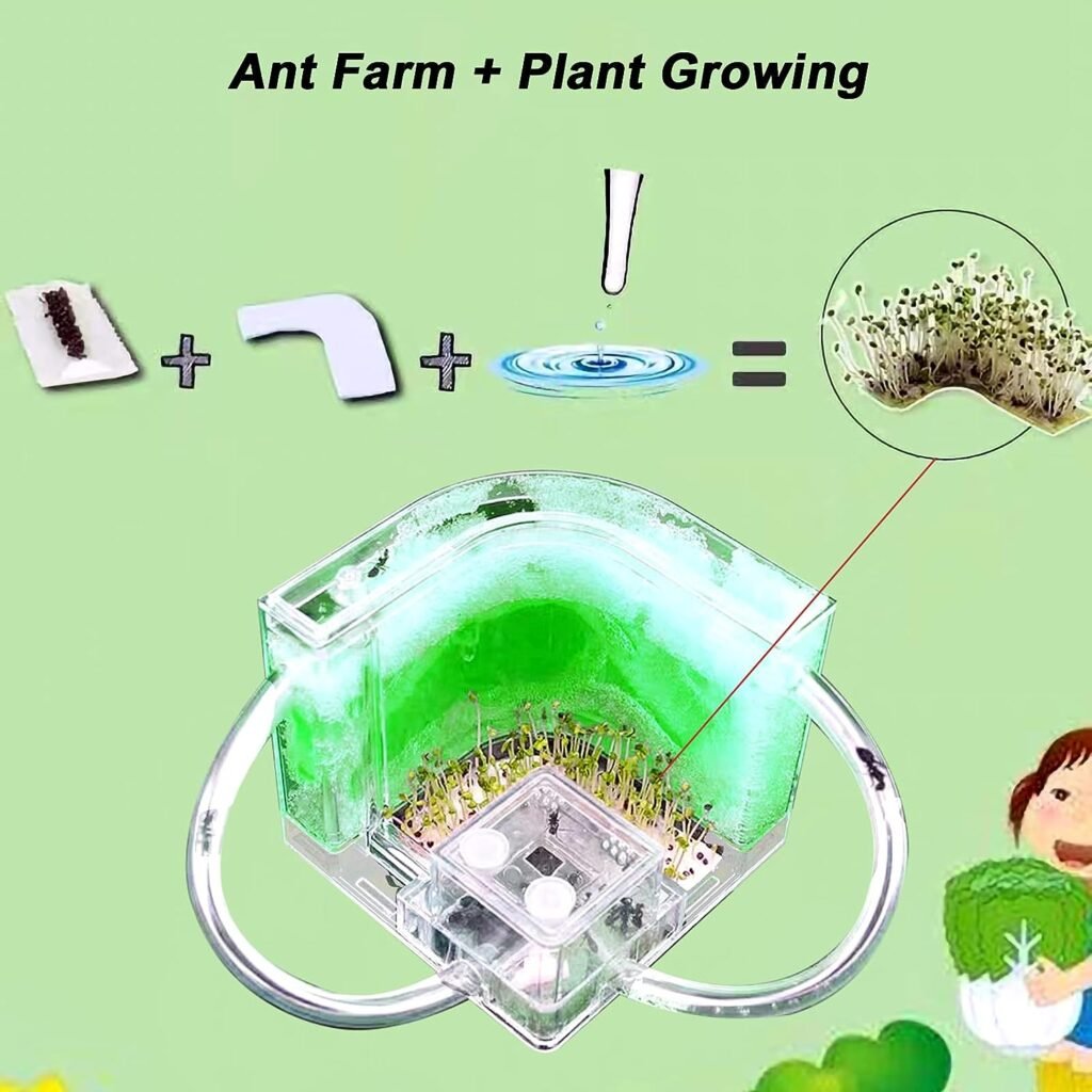 EXBEPE Ant Farm for Kids Safety and Environment Gel Ant Colony Ecosystem Terrarium, Ant Habitat Science Learning Kit(with No Ant)â¦