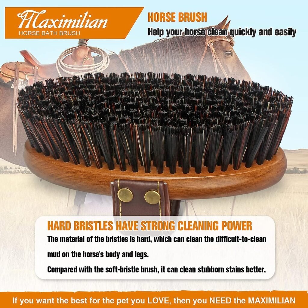 MAXIMILIAN World Class Handmade Equine Stiff Body Horse Brush. Professional Equine Grooming Tools. Effortlessly Removes Mud, Sweat and Dirt from Your Horses Hair.