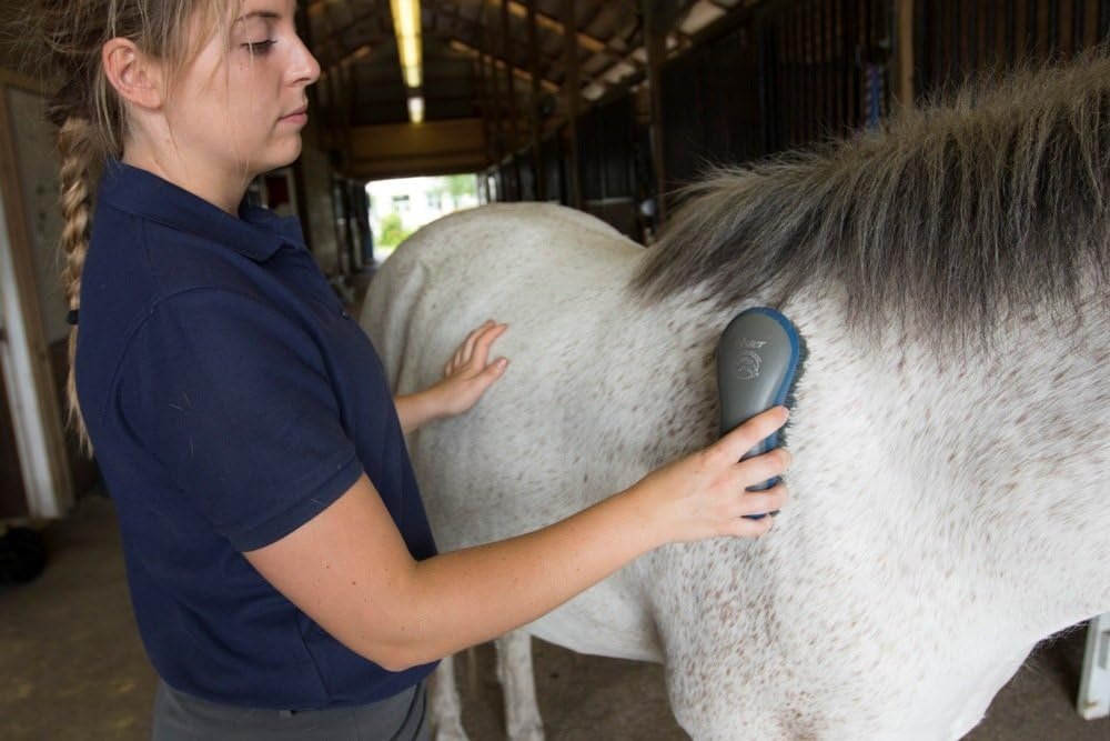 Oster Equine Care Series 7-Piece Horse Grooming Kit