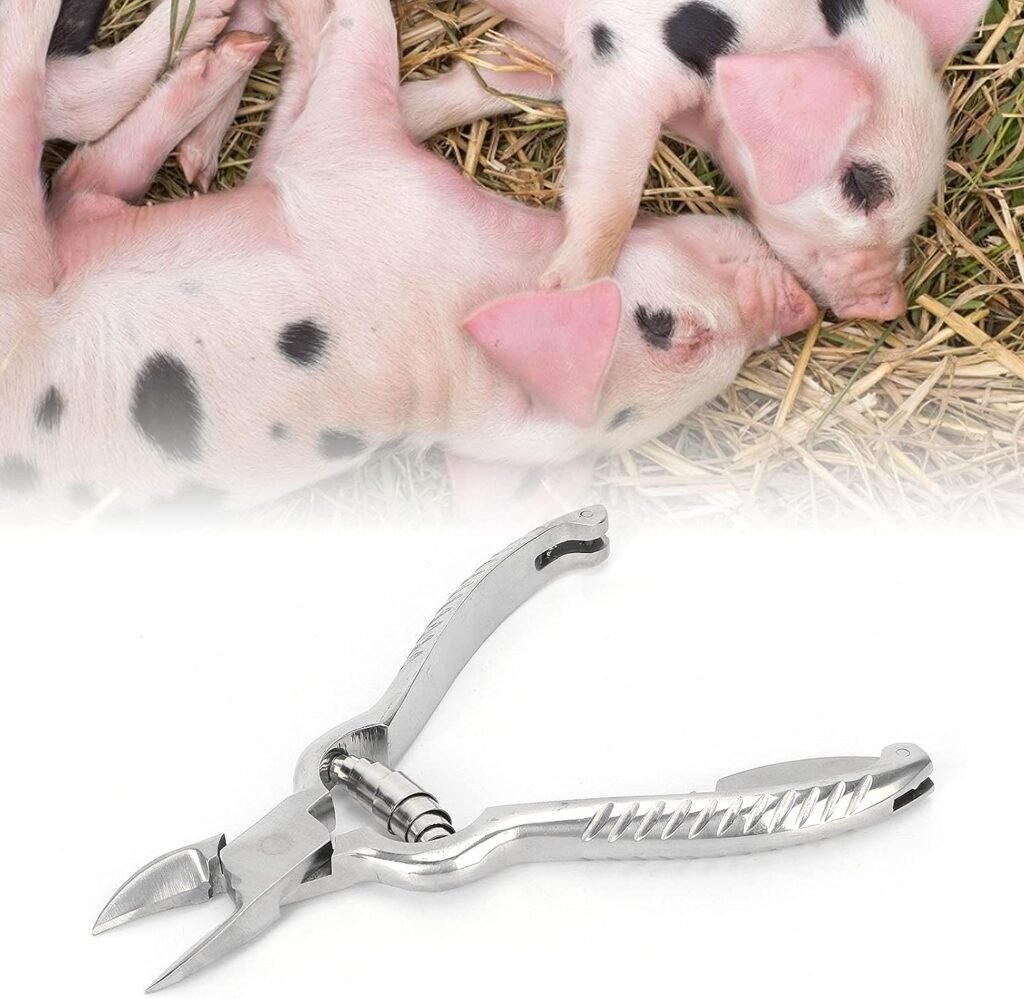 Teeth Straightener, Pig Teeth Cutter, Durable Premium Stainless Steel Pig Tooth Nipper Piglet Teeth Cutter for Piglets Equipment Farm Animals