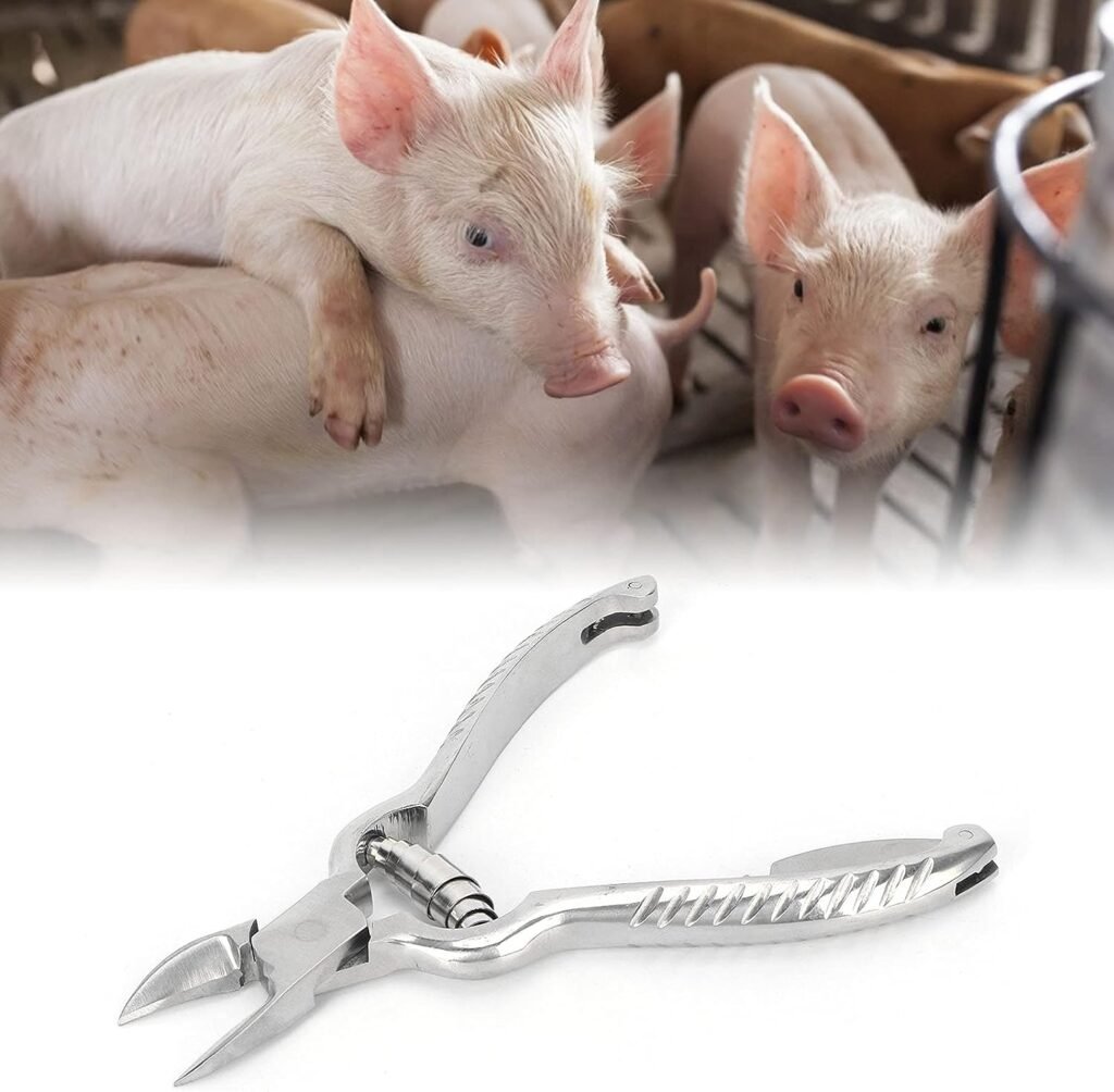 Teeth Straightener, Pig Teeth Cutter, Durable Premium Stainless Steel Pig Tooth Nipper Piglet Teeth Cutter for Piglets Equipment Farm Animals