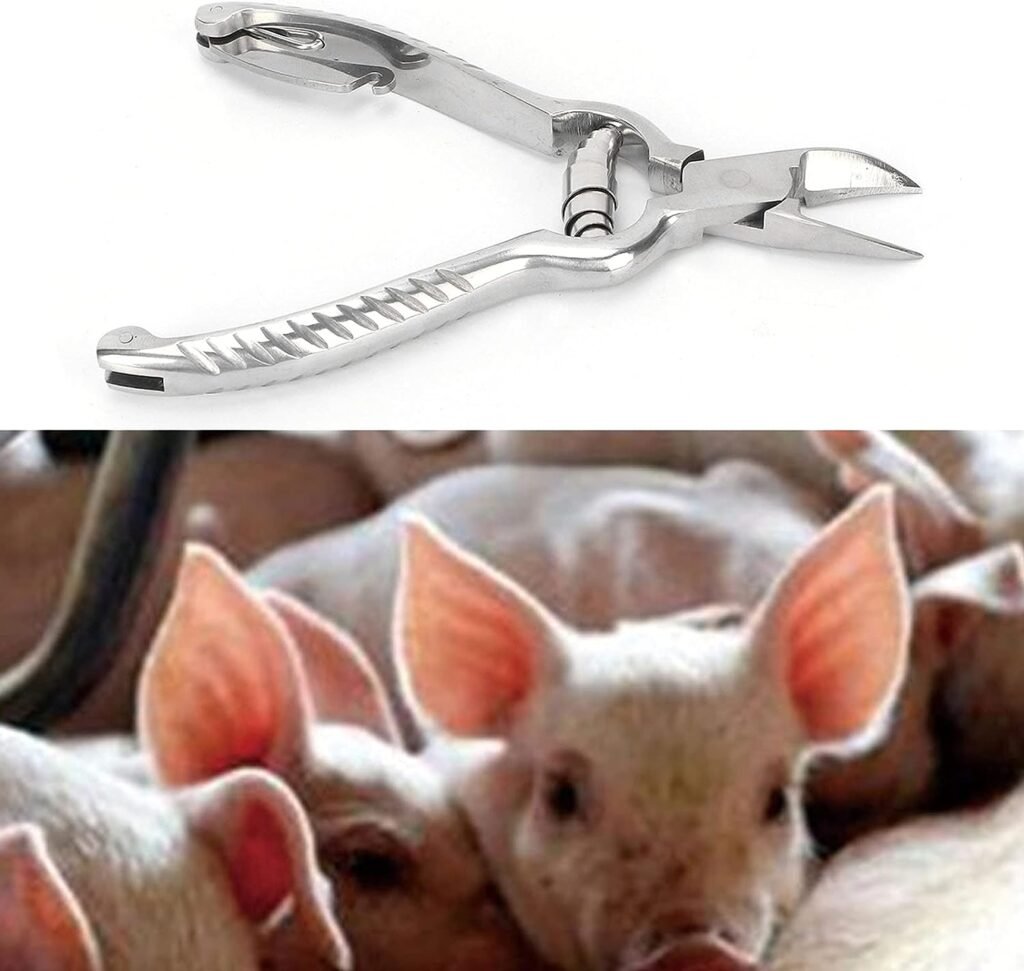 Teeth Straightener, Pig Teeth Cutter, Durable Premium Stainless Steel Pig Tooth Nipper Piglet Teeth Cutter for Piglets Equipment Farm Animals