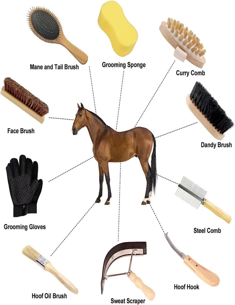 Ueemph Horse Grooming Kitï¼10-Pieceï¼ï¼Purple Horse Brushes for Grooming,Storage Bag,Horse Sweat Scraper ,Mane Comb,Horse Grooming Gloves,Horse Gifts for Girls (Black)