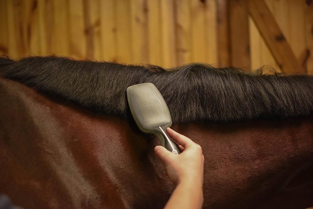 WAHL Professional Animal Equine Grooming Mane and Tail Horse Brush, Black (858709)