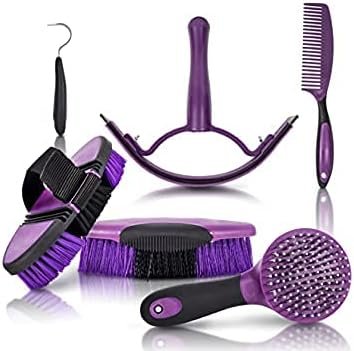 Horse Grooming Kit with Organizer Tote Bag, 7-PieceTack Room Supplies Set with Assorted Hair and Curry Brushes, Hoof Pick, and Sweat Scraper, Great Groomer Gift, Horse Riders, Beginner, Advanced.